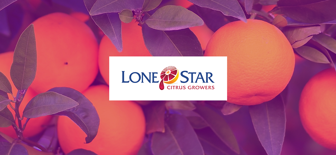 Case Study: Lone Star Citrus prevents COVID-19 spread with Quickscreen by Luminare